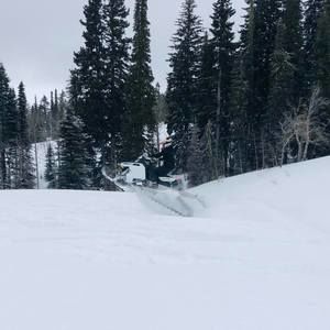 Meet your Posher, Melinda